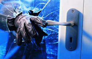 Environmental Consciousness as a tool for enhancing public and personal security